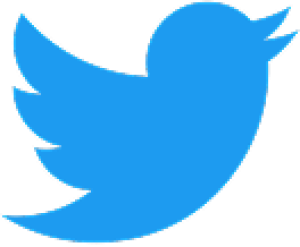 Logo_of_Twitter.svg